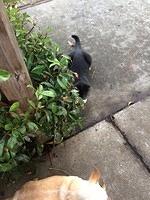 IMG 5830