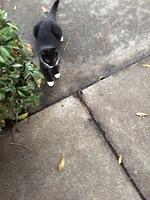 IMG 5831