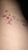 IMG 5885