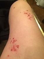 IMG 5886