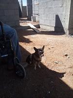 IMG 5980