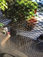 IMG 6069