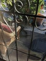 IMG 6074