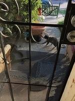 IMG 6075-1