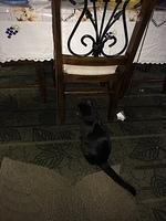 IMG 6179