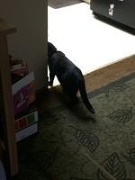 IMG 6180