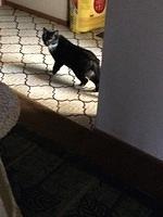 IMG 6181