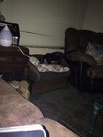 IMG 6199-1