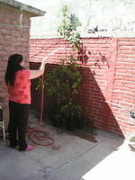 IMG 6236