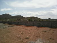 IMG 6241