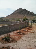 IMG 6242