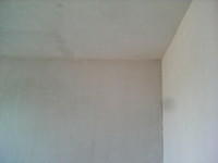 IMG 6312