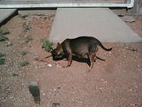 IMG 6365