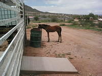 IMG 6370