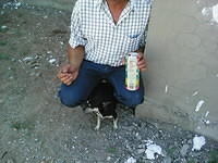 IMG 6387