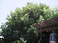 IMG 6399