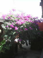 IMG 6584