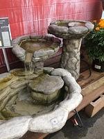 IMG 6637