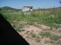IMG 6647