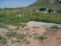 IMG 6648