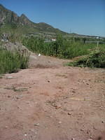 IMG 6652