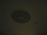 IMG 6686