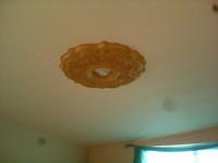 IMG 6695