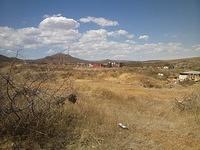 IMG 6803