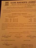 IMG 6888