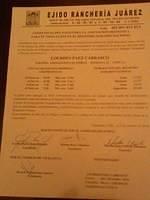 IMG 6889