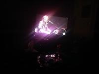 IMG 6931
