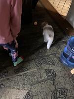 IMG 0168