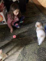 IMG 0170