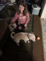 IMG 0171