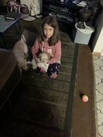IMG 0178