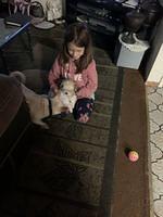 IMG 0179