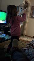 IMG 0182