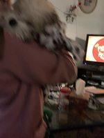 IMG 0197