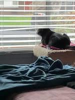 IMG 0327