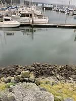 IMG 0417