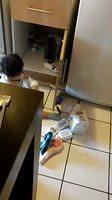 IMG 0436