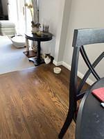 IMG 0447