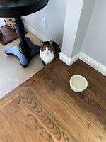 IMG 0448