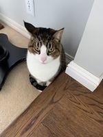 IMG 0449