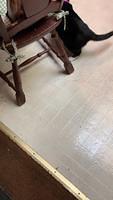 IMG 0512