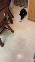 IMG 0514