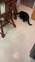IMG 0516