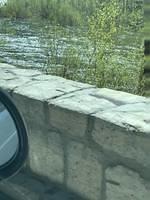 IMG 0775