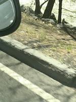 IMG 0777