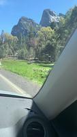 IMG 0781